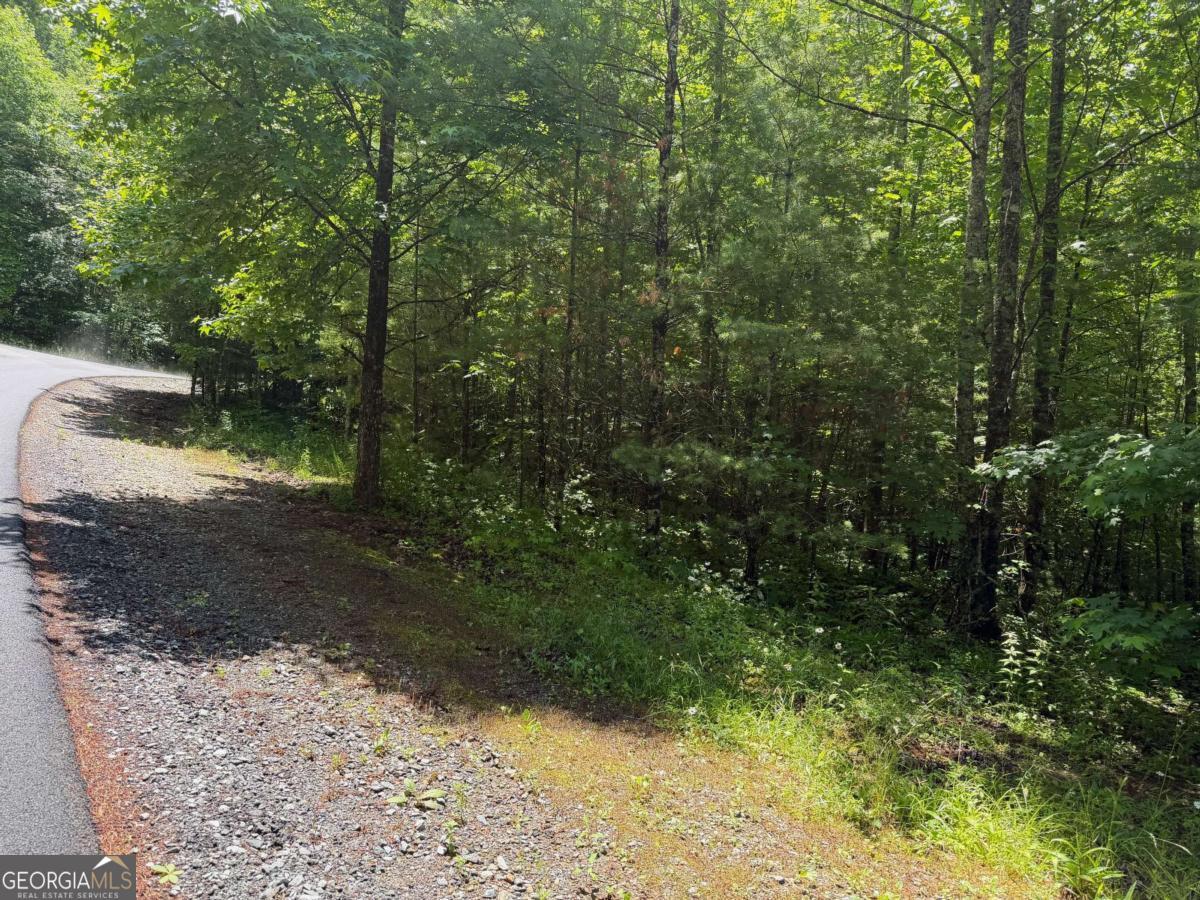2.75-ac Quail Ridge Road Epworth, GA 30541 - Photo 4 of 12