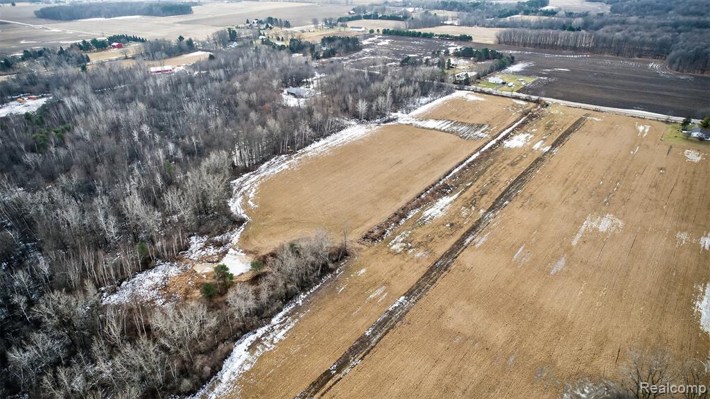 40-acres Irish Road Millington, MI 48746 - Photo 6 of 9 Gallery Image 6