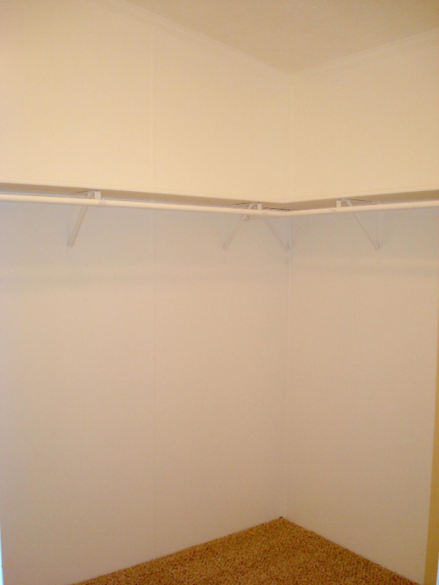 3581 East Moore Road Bailey, MI 49303 - Photo 8 of 17 Master Walk-in Closet