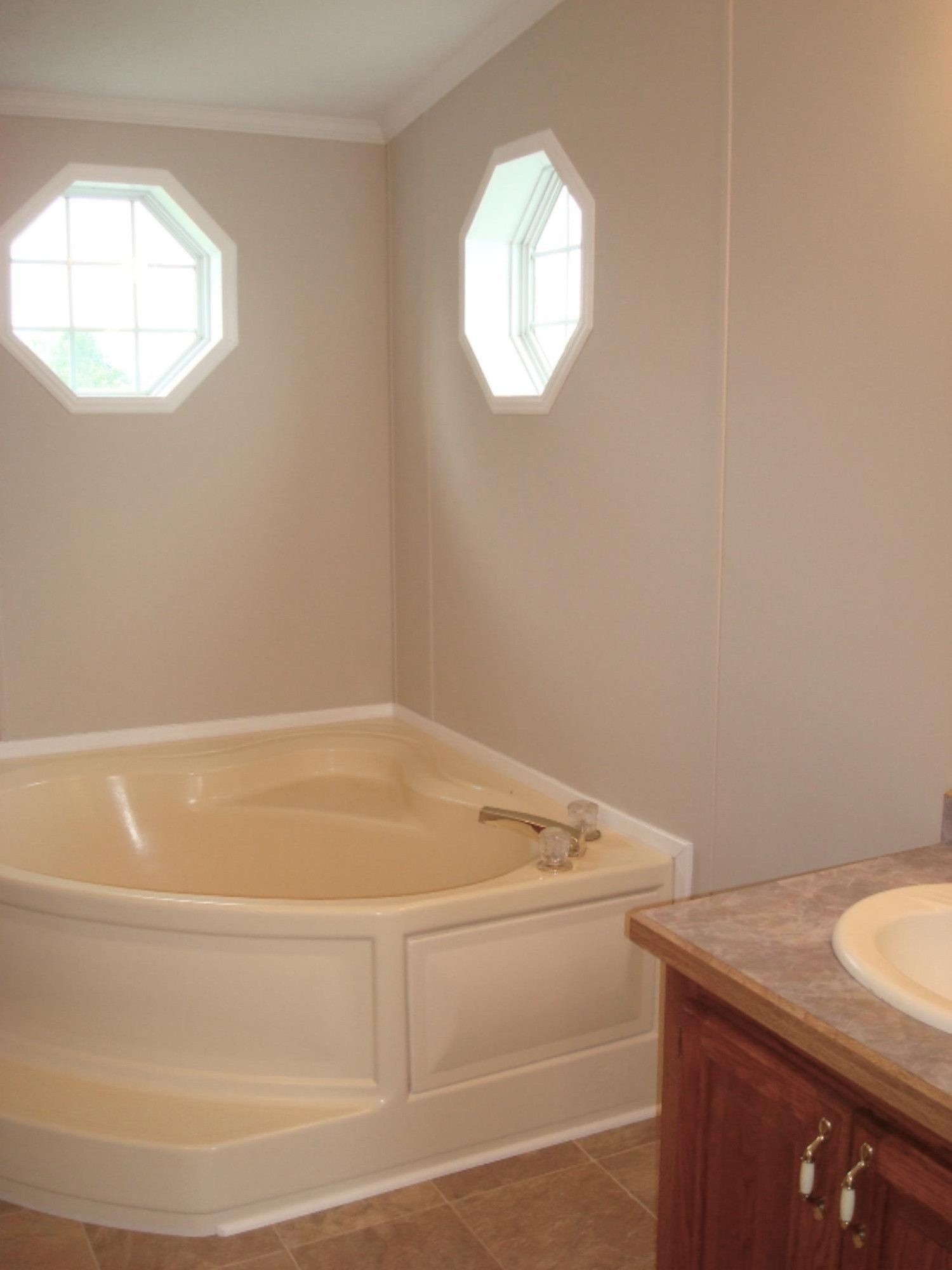 3581 East Moore Road Bailey, MI 49303 - Photo 9 of 17 Master Bath
