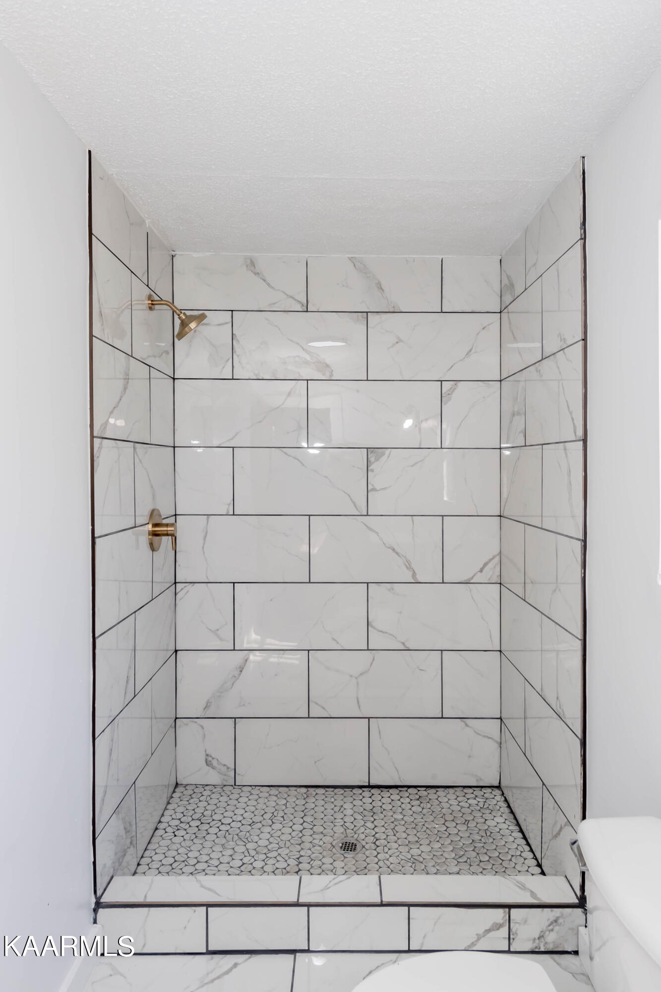 6403 Maloneyville Road Corryton, TN 37721 - Photo 12 of 26 DSC_2572