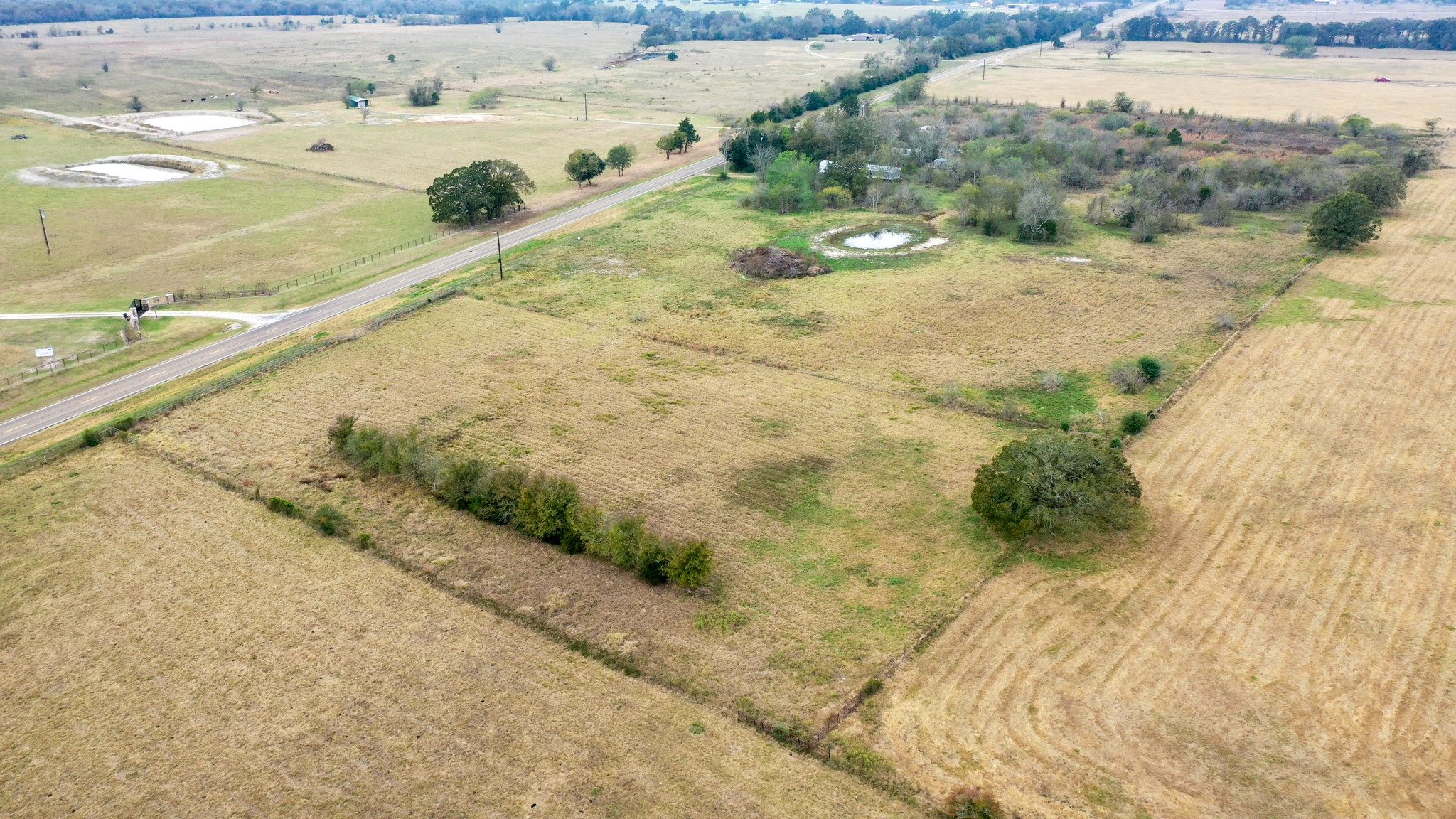 a view of a dry yard with green space