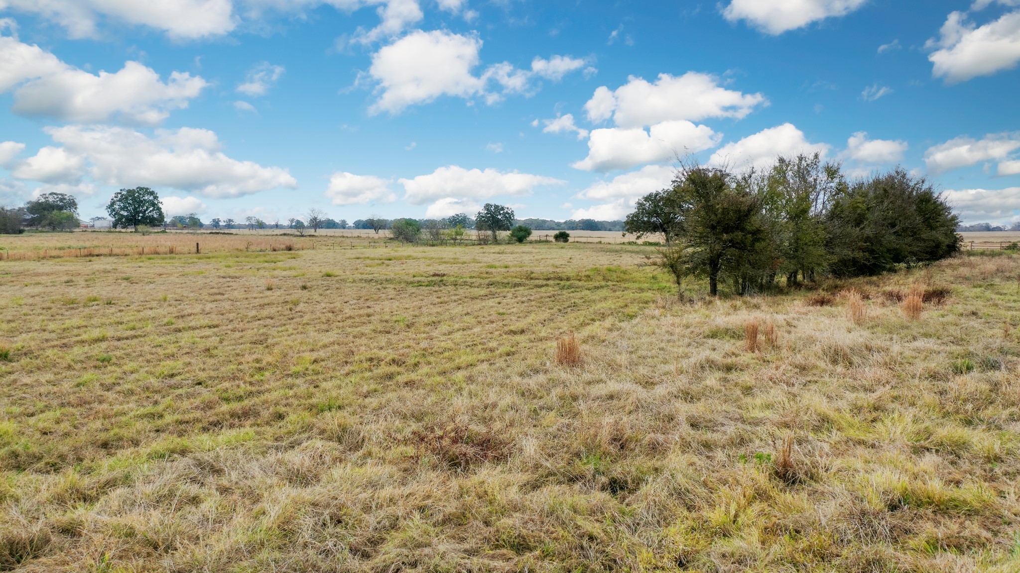 9101 Fm 1428 Midway, TX 75852 - Photo 14 of 14 a view of lake