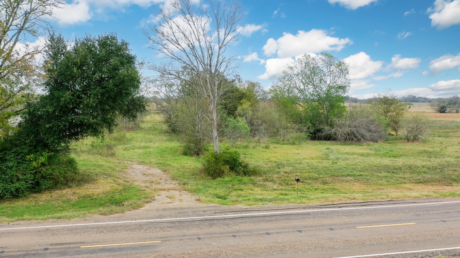 9101 Fm 1428 Midway, TX 75852 - Photo 2 of 14 a view of a yard with an trees