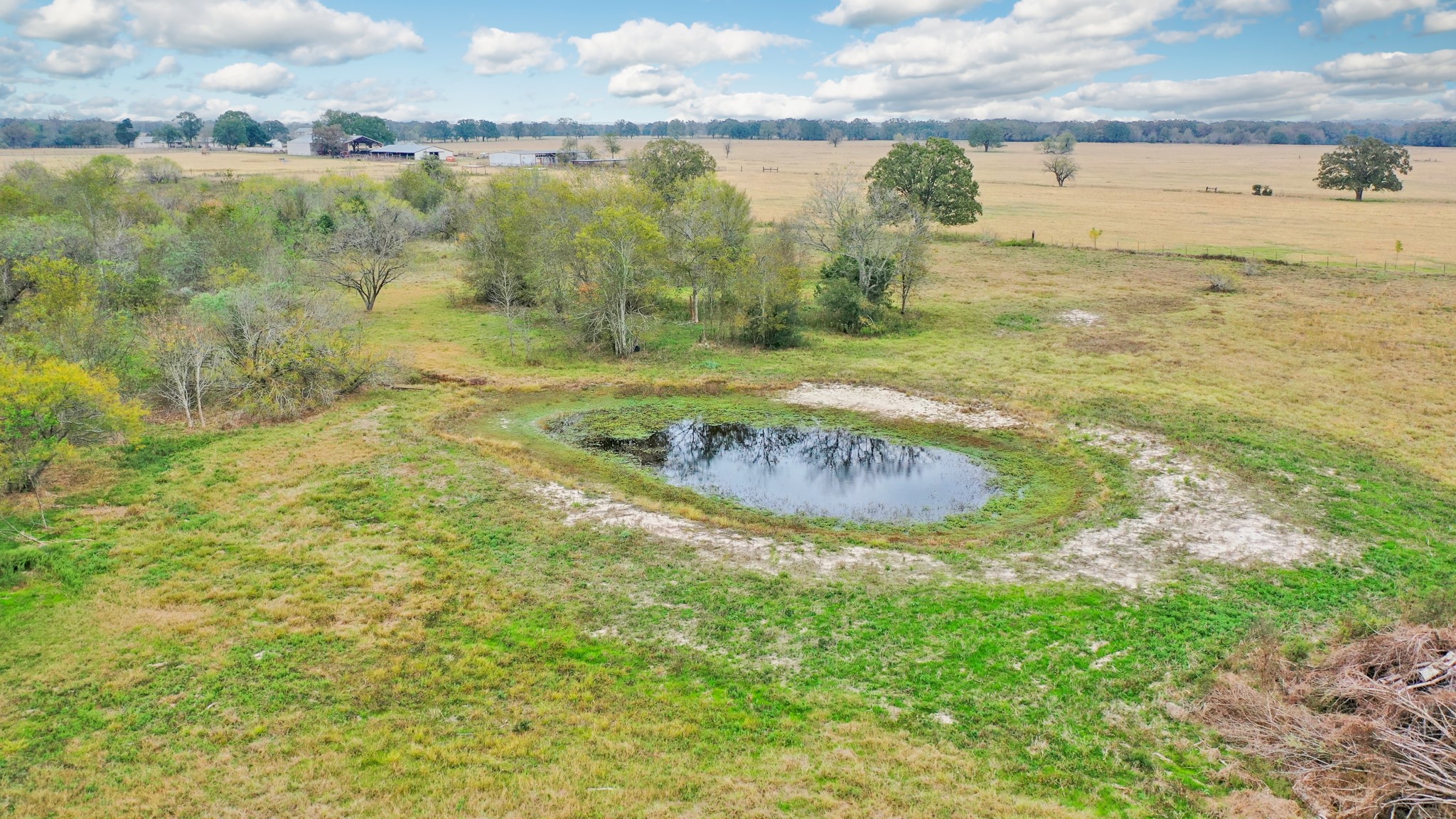 9101 Fm 1428 Midway, TX 75852 - Photo 5 of 14 a view of a lake with a yard