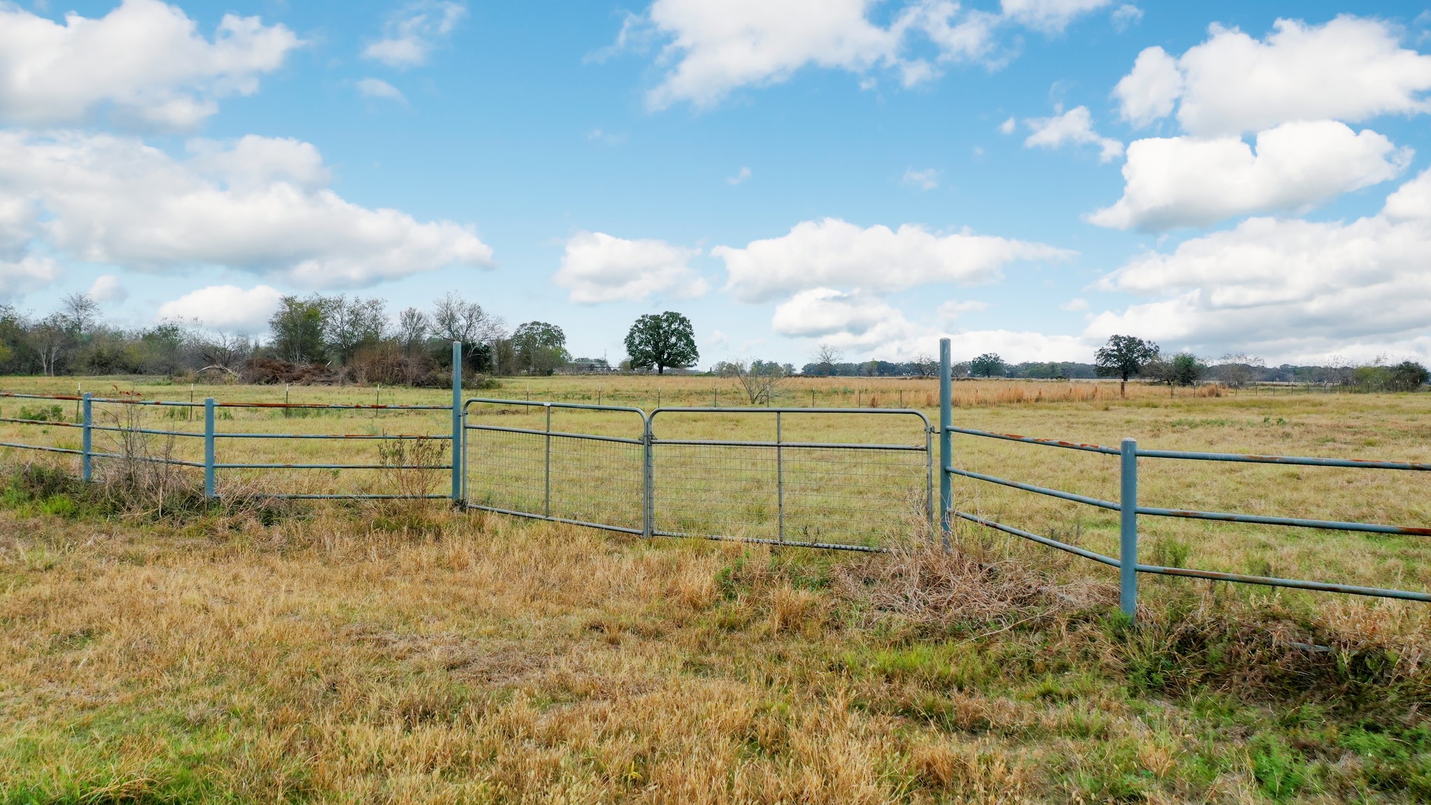 9101 Fm 1428 Midway, TX 75852 - Photo 10 of 14 a view of a field with wooden fence