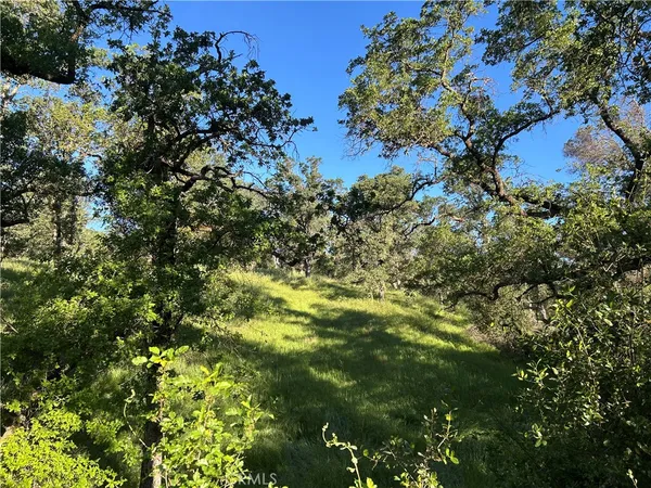 $145,000 | 0 Rolling Oaks Lane, Marysville, CA 95901