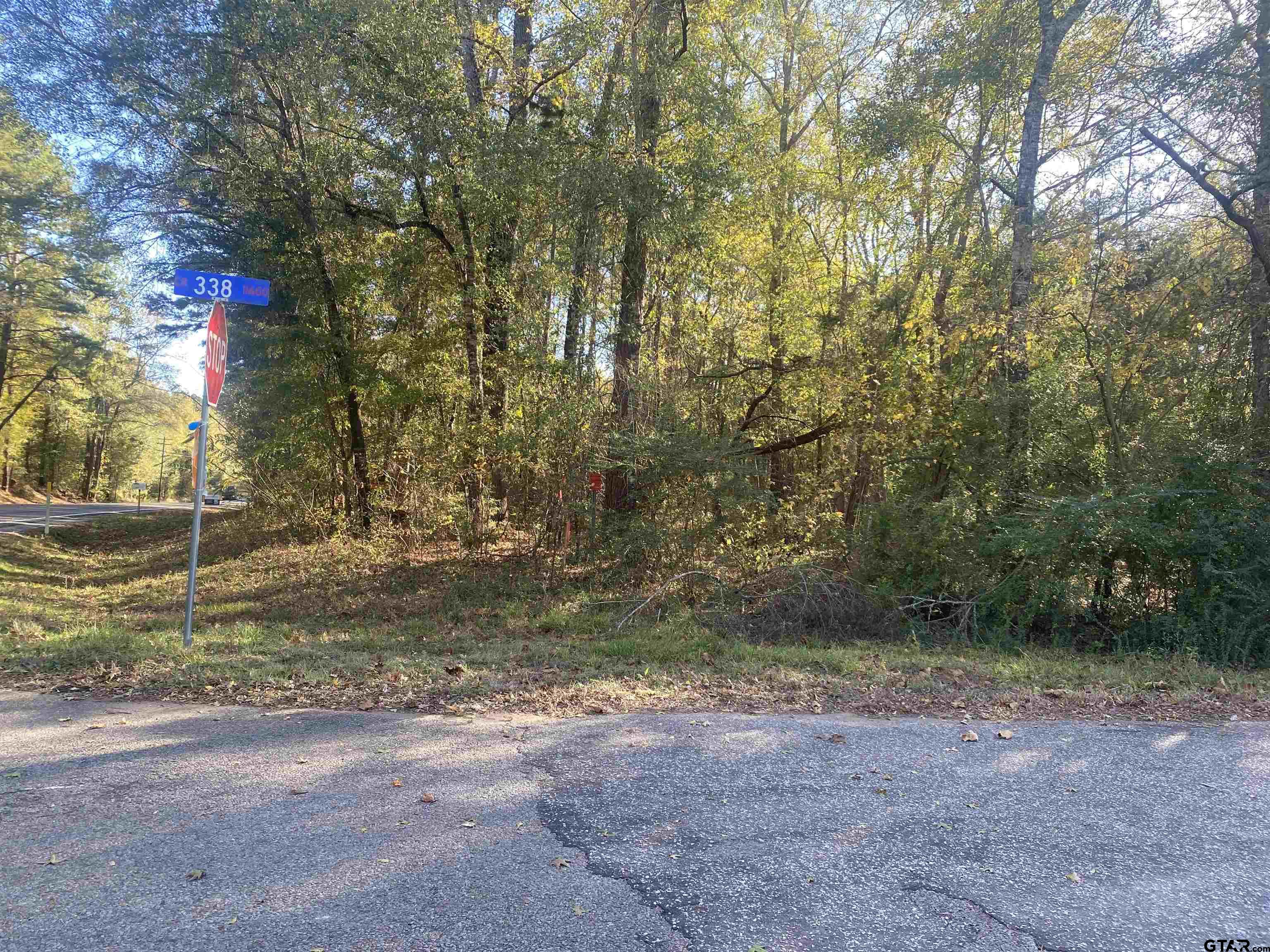 Lot 3 Fm 2015 Lindale, TX 75706 - Photo 1 of 4 a view of a yard with a tree