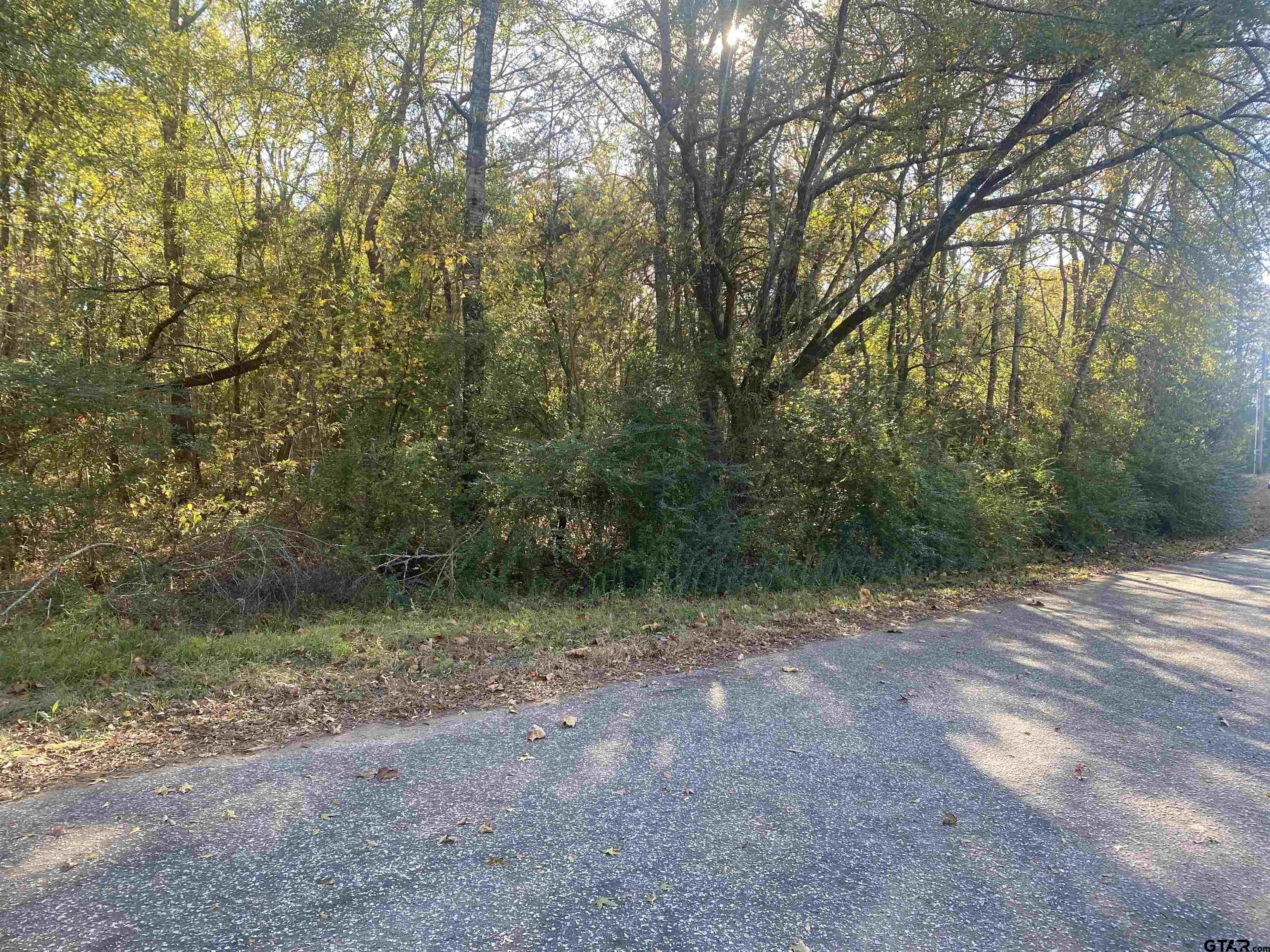 Lot 3 Fm 2015 Lindale, TX 75706 - Photo 2 of 4 a view of a forest with trees in the background