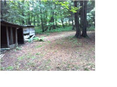 34 Valley Road Peru, ME 04290 - Photo 15 of 18 Yard/Garden.