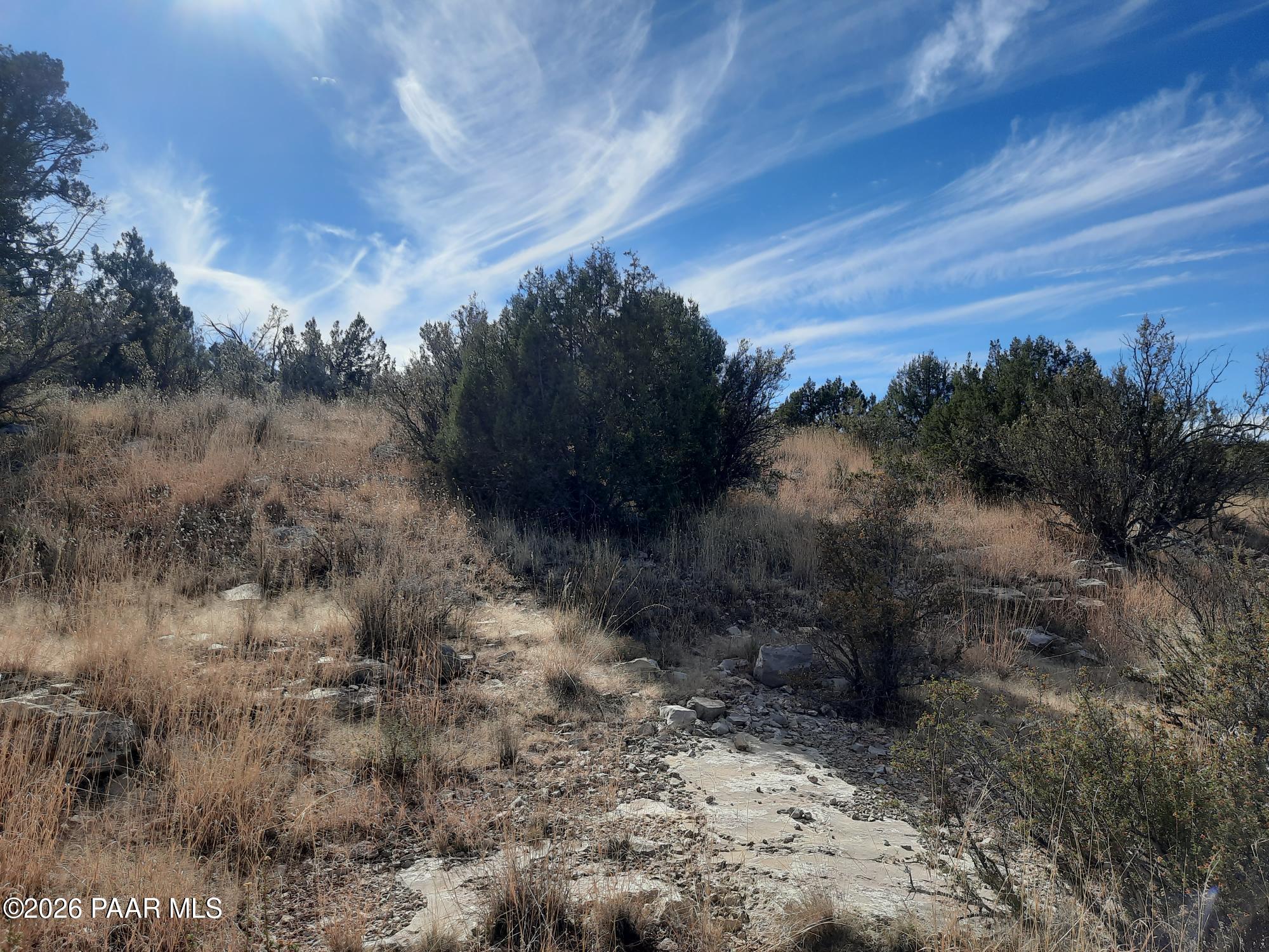 32563 Ancho Road Seligman, AZ 86337 - Photo 4 of 7 a view of a dry yard with green space