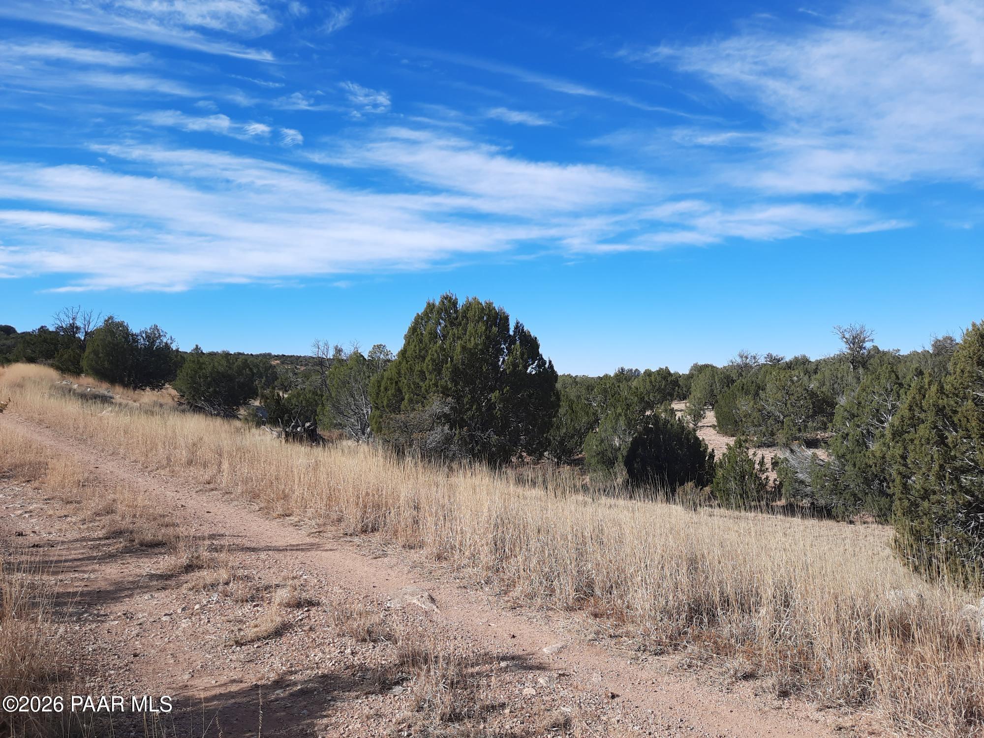32563 Ancho Road Seligman, AZ 86337 - Photo 6 of 7 a view of a lake with a mountain in the background