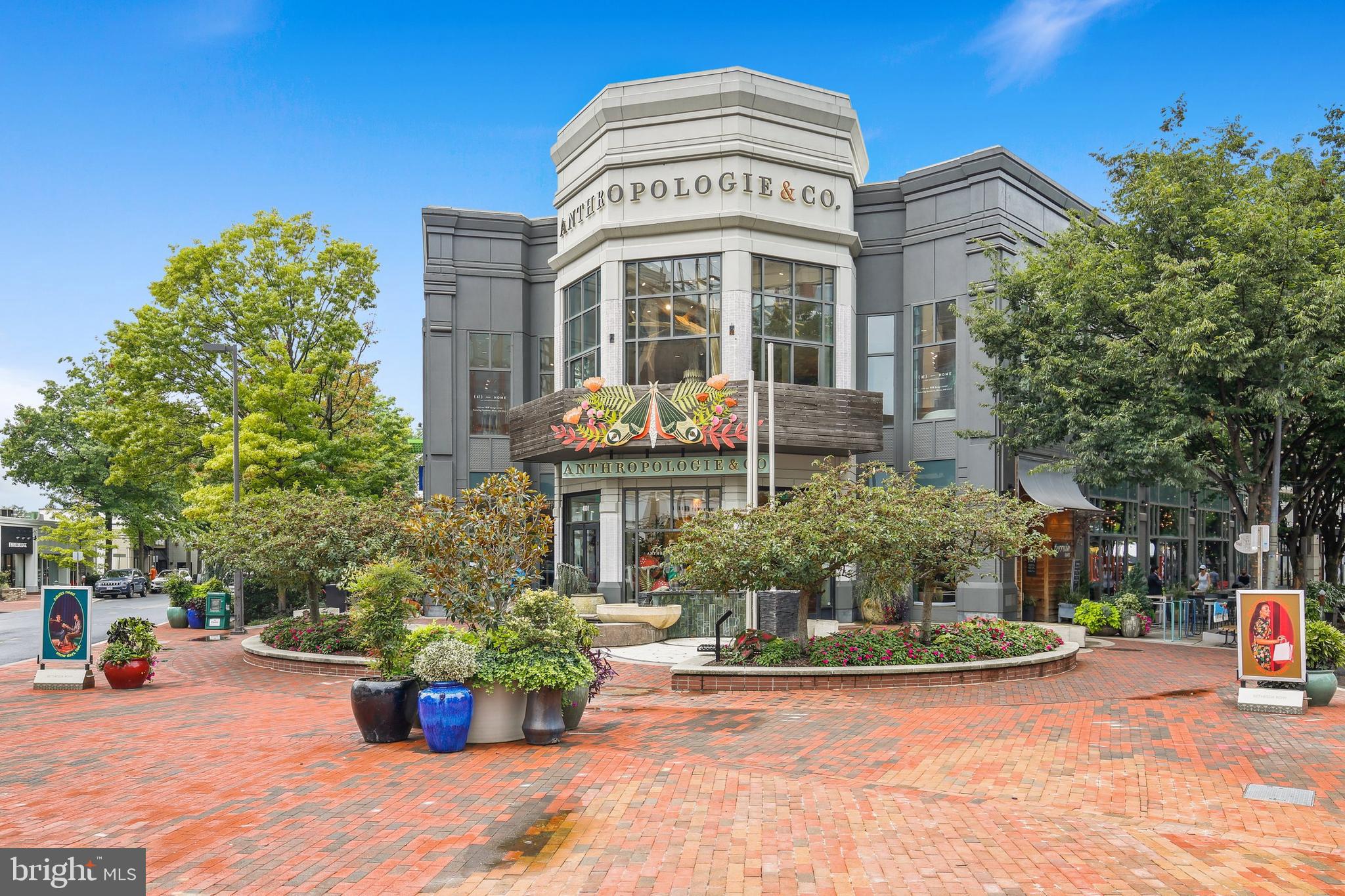 5803 Ogden Road Bethesda, MD 20816 - Photo 45 of 51