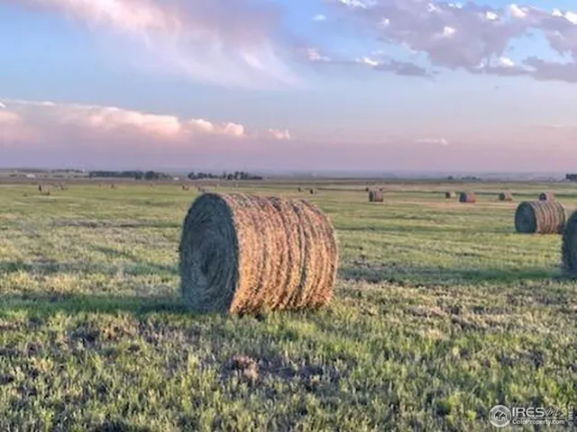 a view of a lake with a city
