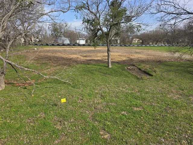 a view of a field with of trees