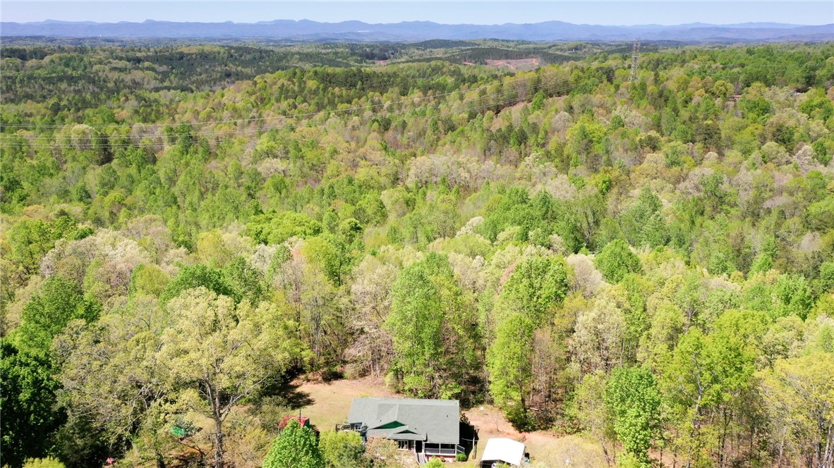 204 Dan Ross Road Six Mile, SC 29682 - Photo 3 of 19