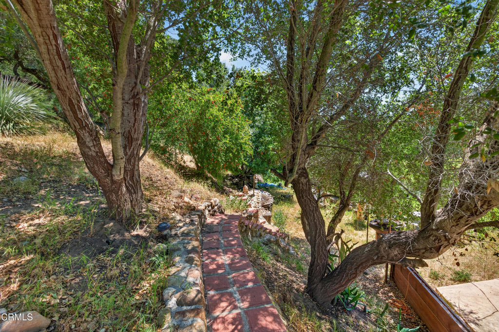 8416 Wheeler Canyon Road Santa Paula, CA 93060 - Photo 45 of 48 a view of tree