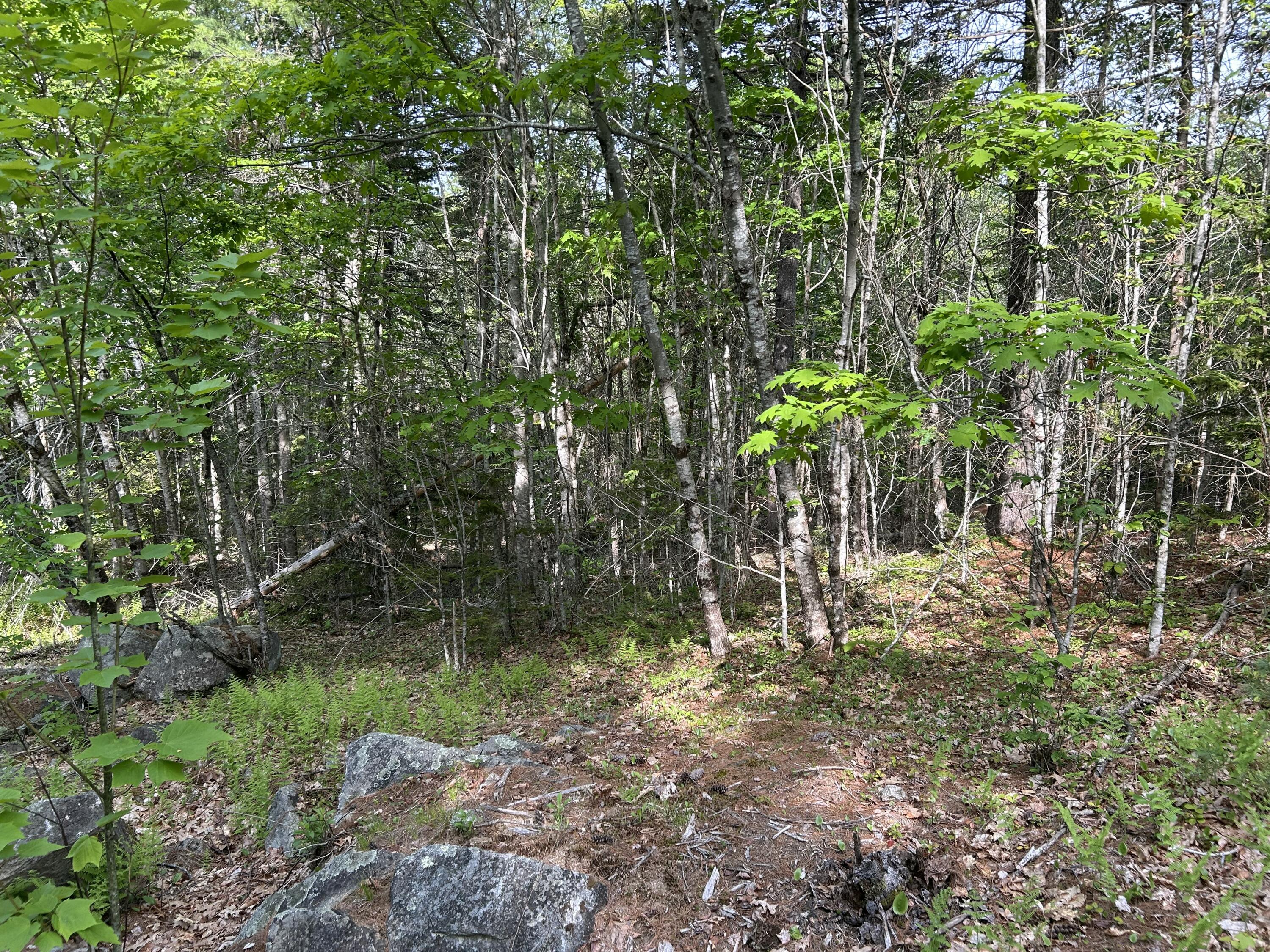 M5-l16 Clark Road Prospect, ME 04981 - Photo 26 of 45 IMG_8770