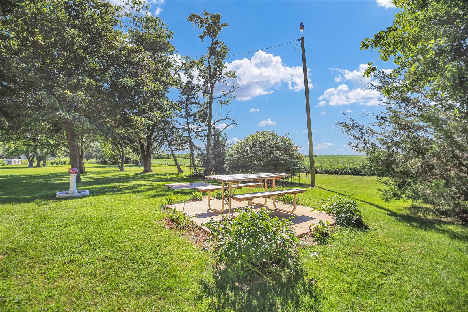 221 East 5th Avenue Rankin, IL 60960 - Photo 30 of 44 a view of a park with large trees