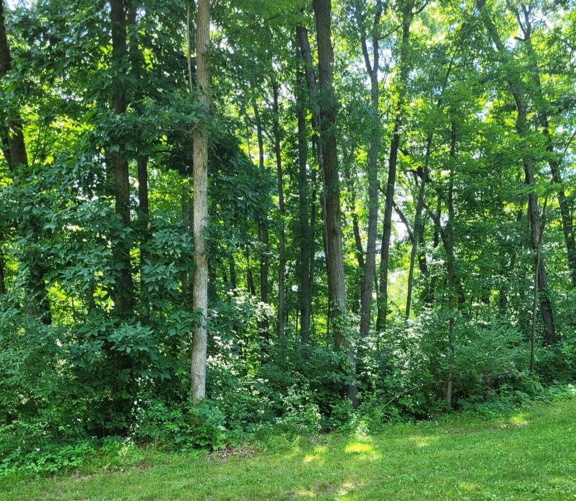 11839 Vicary Road Jerome, MI 49249 - Photo 2 of 5 Wooded