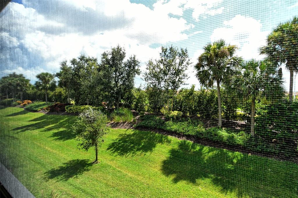 13604 Messina Loop, Unit 203 Bradenton, FL 34211 - Photo 9 of 56 a view of a green yard with large trees