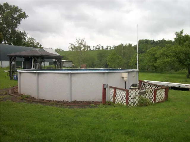 a view of a backyard with plants and a garden