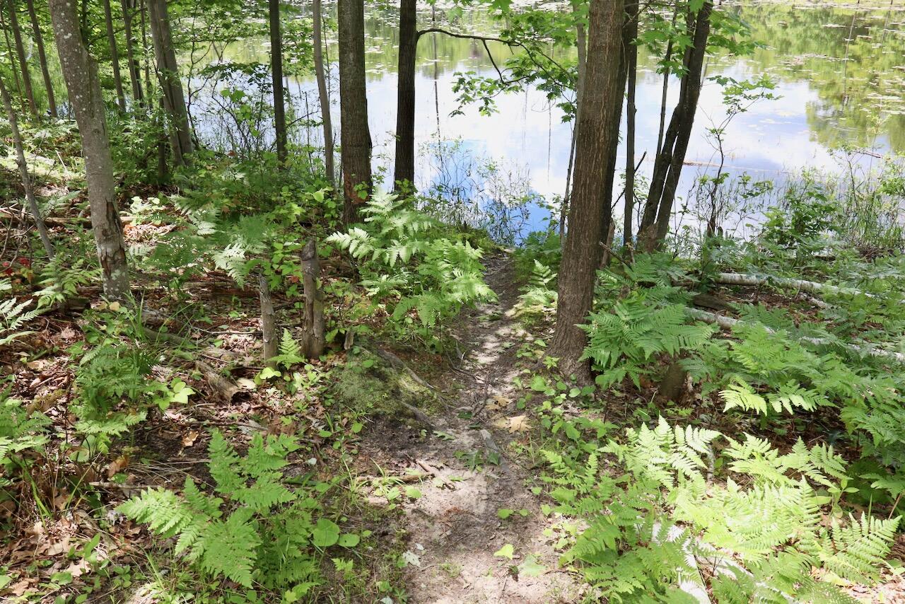 6182 Hamilton Road Harrison, MI 48625 - Photo 22 of 77