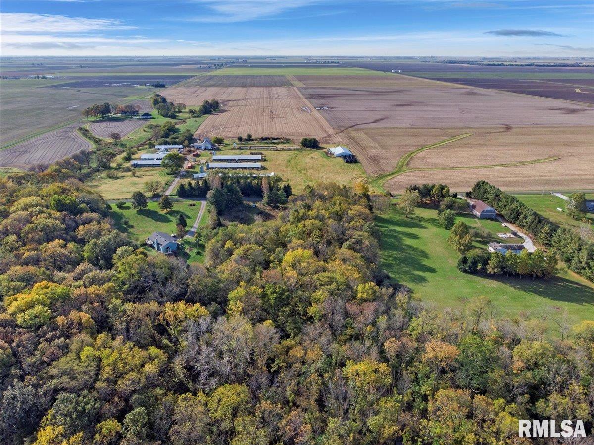 8389 Treat Road Loami, IL 62661 - Photo 12 of 19