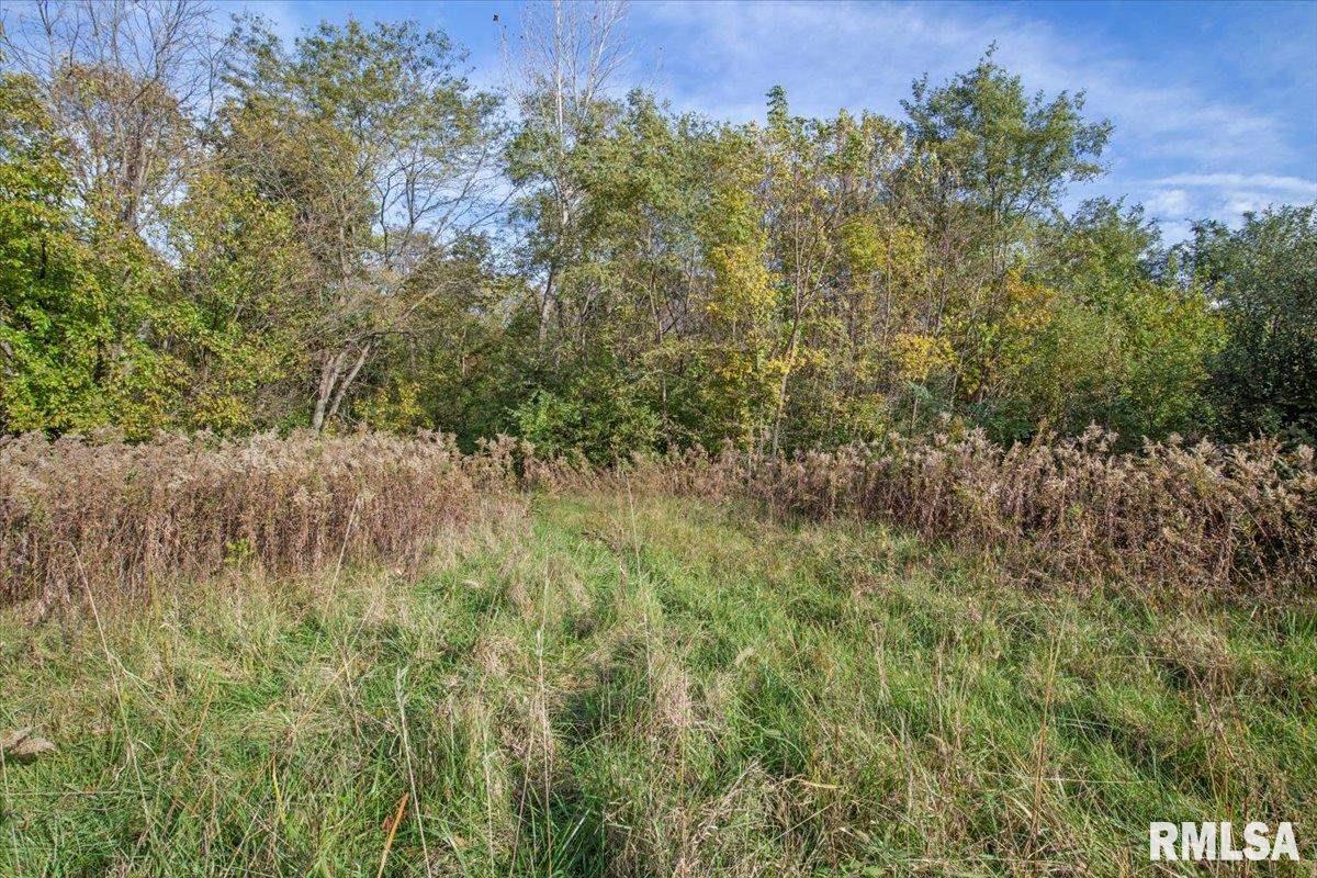 8389 Treat Road Loami, IL 62661 - Photo 15 of 19