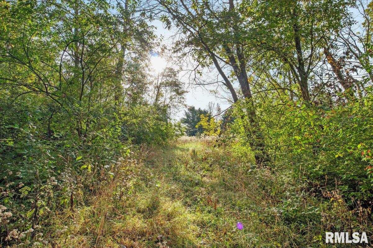 8389 Treat Road Loami, IL 62661 - Photo 16 of 19