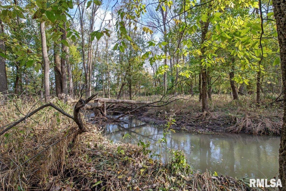 8389 Treat Road Loami, IL 62661 - Photo 17 of 19