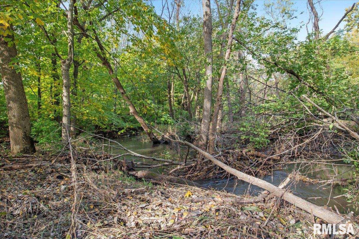 8389 Treat Road Loami, IL 62661 - Photo 18 of 19