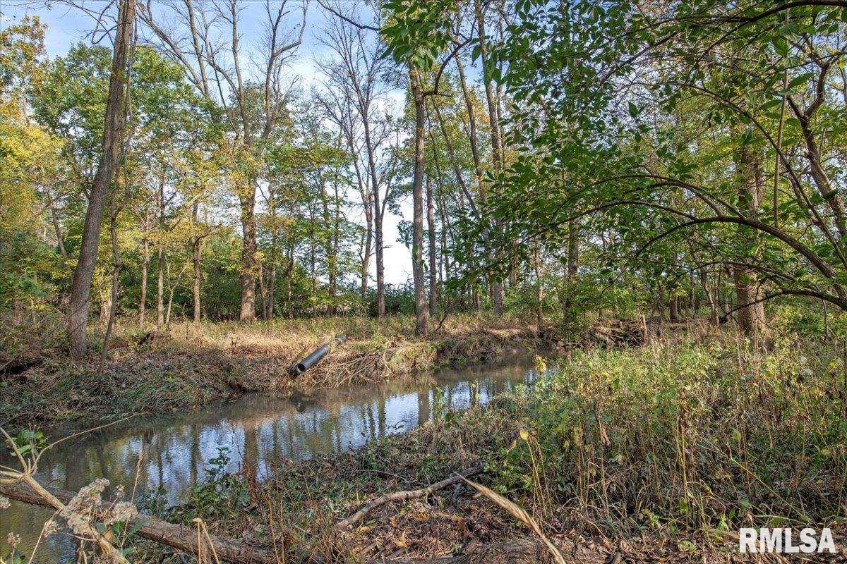 8389 Treat Road Loami, IL 62661 - Photo 19 of 19