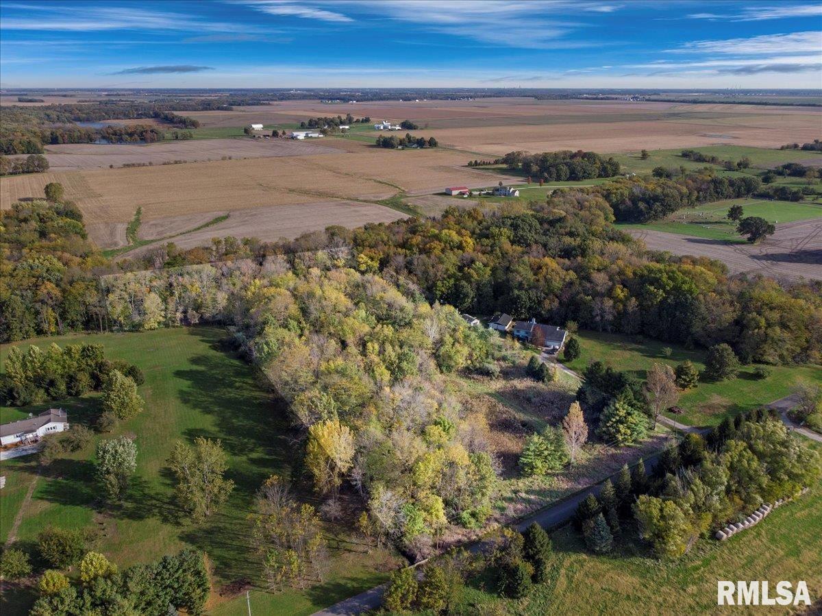8389 Treat Road Loami, IL 62661 - Photo 7 of 19