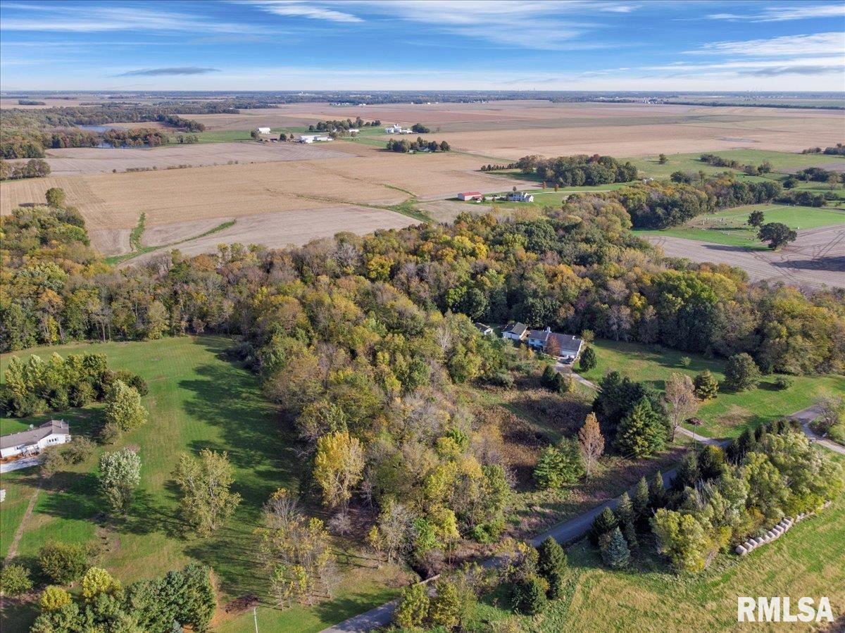 8389 Treat Road Loami, IL 62661 - Photo 8 of 19