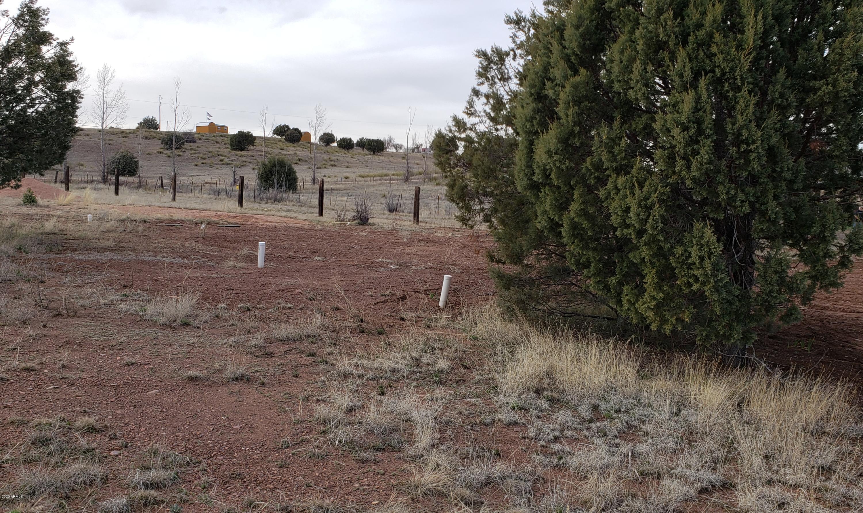 425 Rolling Hills Road, Unit 2 Young, AZ 85554 - Photo 8 of 8 Septic disposal field