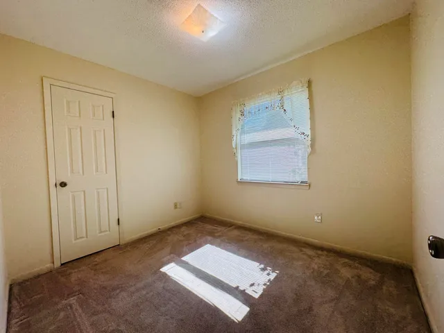 a view of a backyard with plants and large tree