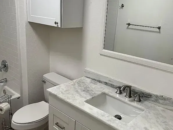 a bathroom with a sink and a toilet