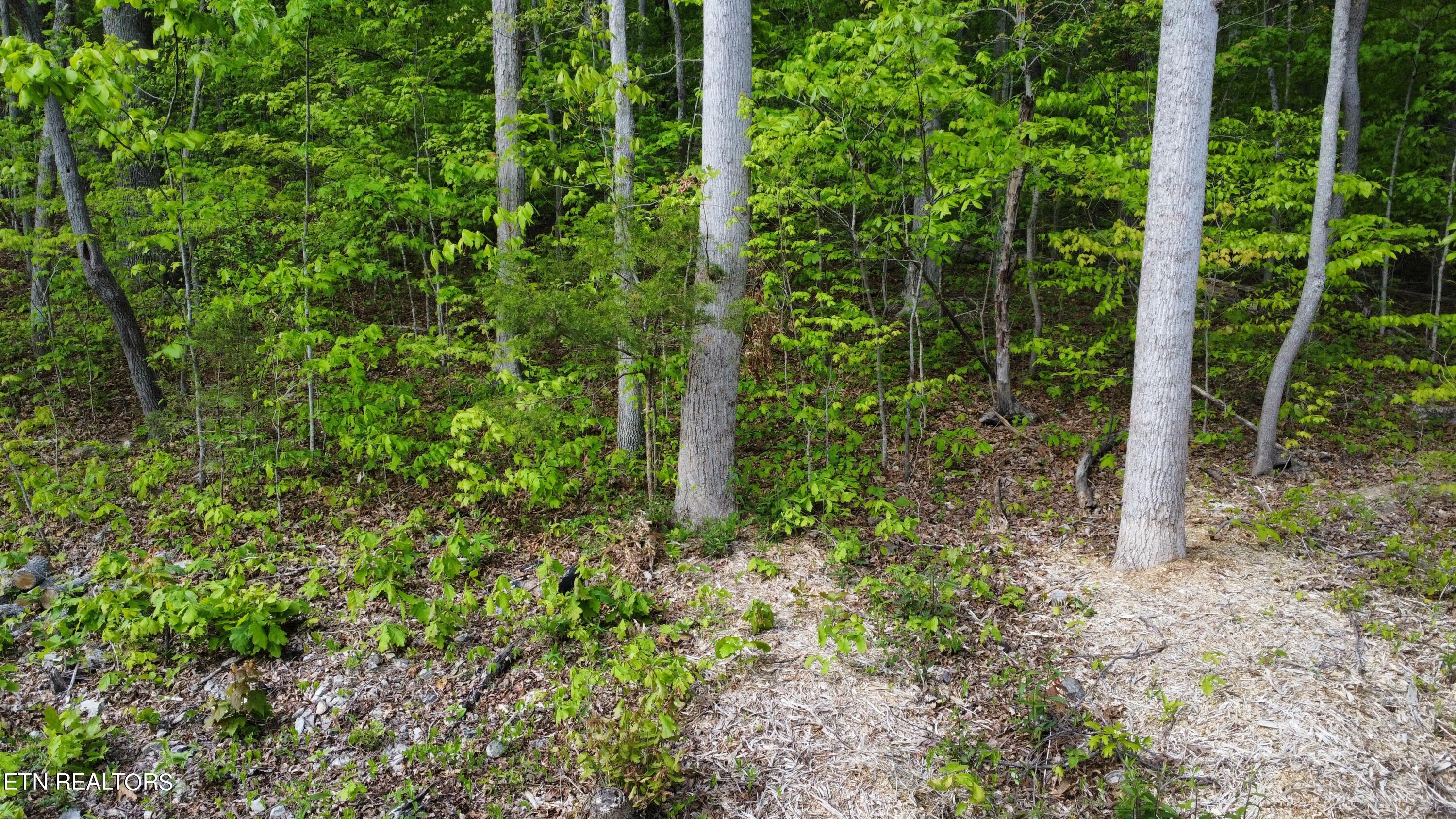 dji_fly_20240424_163916_59_1713991173452