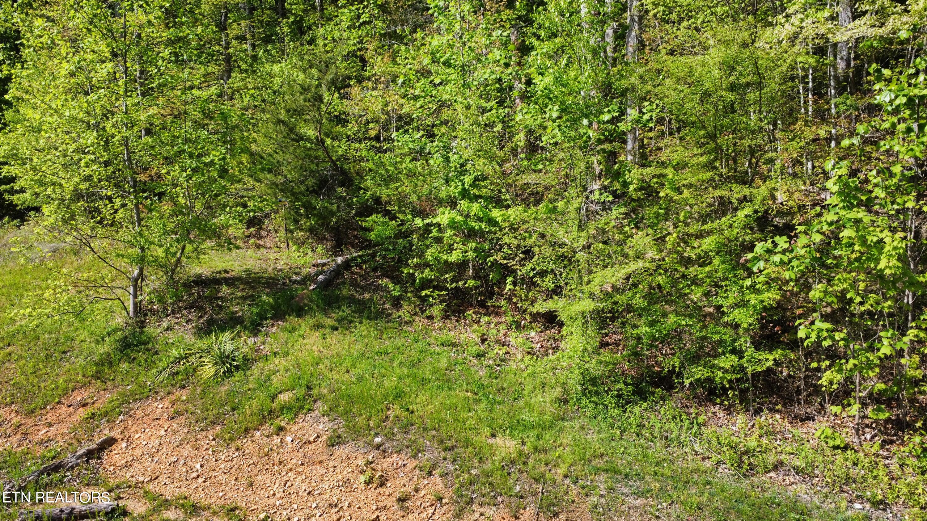 8700 Heiskell Road Powell, TN 37849 - Photo 11 of 13 dji_fly_20240424_164754_67_1713991683878