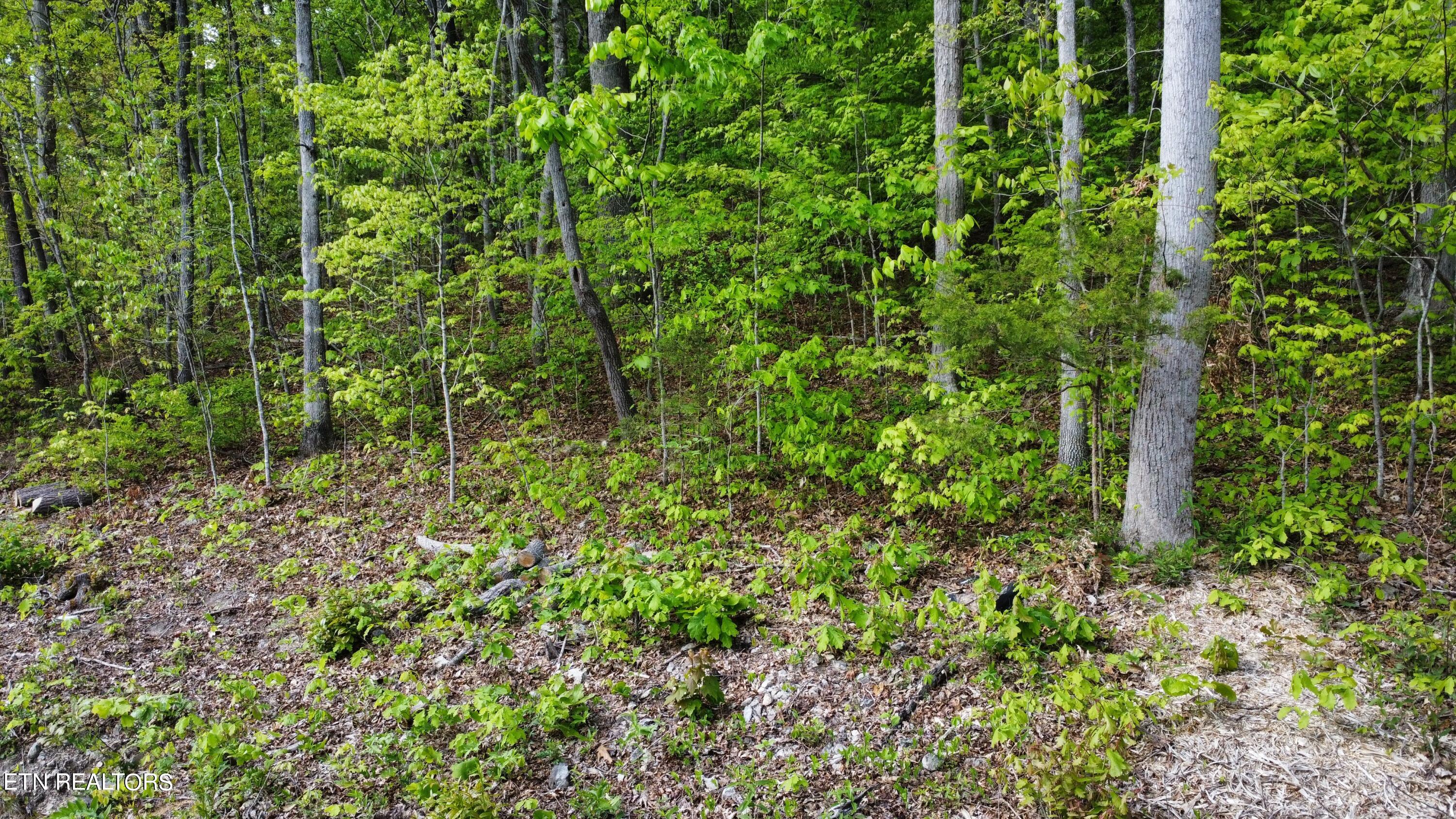 8700 Heiskell Road Powell, TN 37849 - Photo 12 of 13 dji_fly_20240424_163936_61_1713991220850