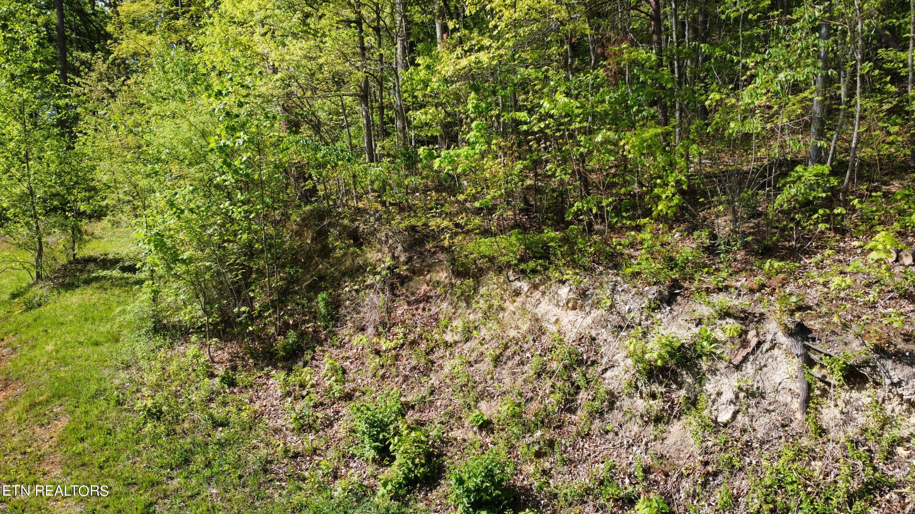 8700 Heiskell Road Powell, TN 37849 - Photo 13 of 13 dji_fly_20240424_164302_63_1713991393379