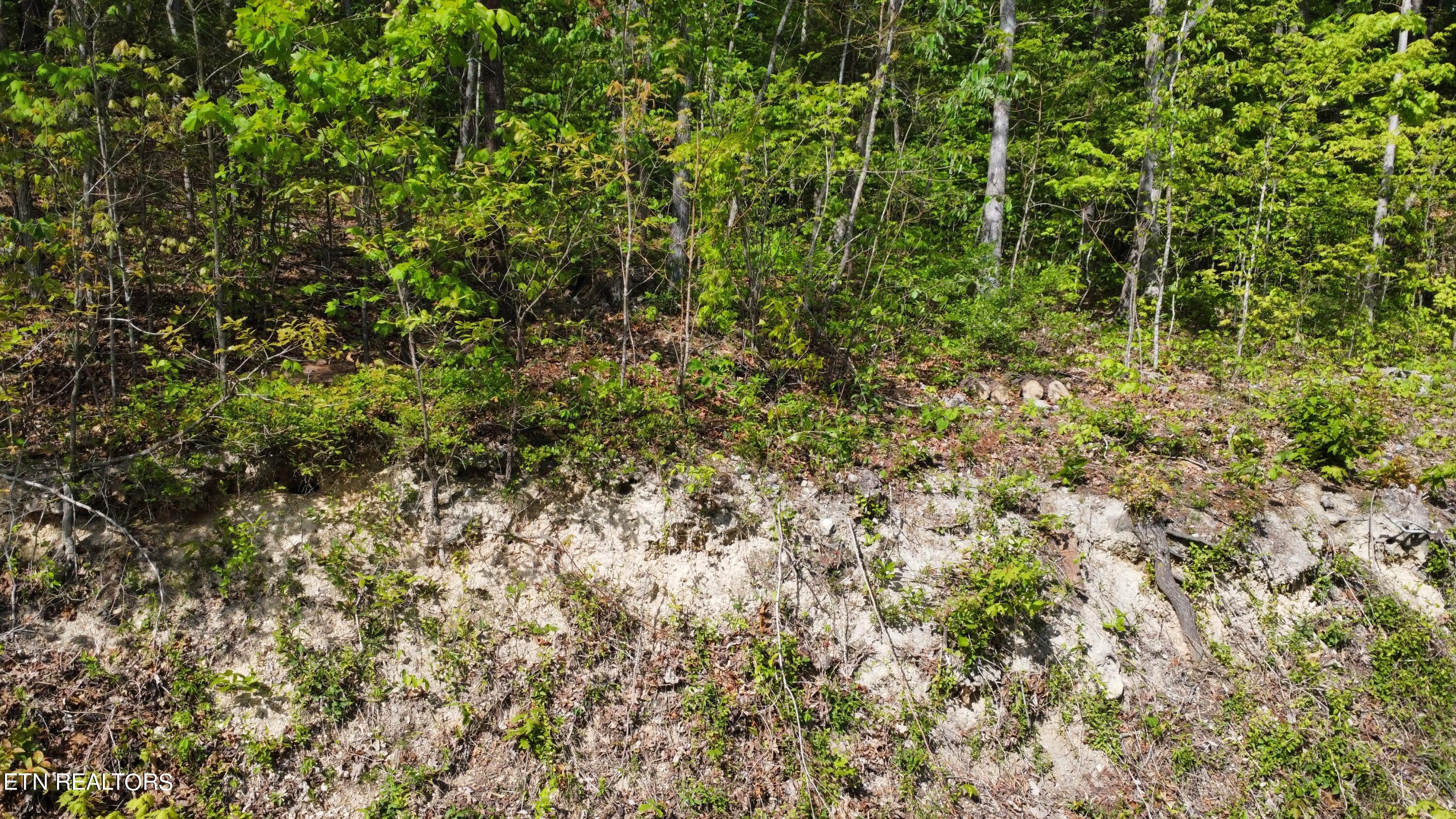 8700 Heiskell Road Powell, TN 37849 - Photo 3 of 13 dji_fly_20240424_164912_71_1713991774014