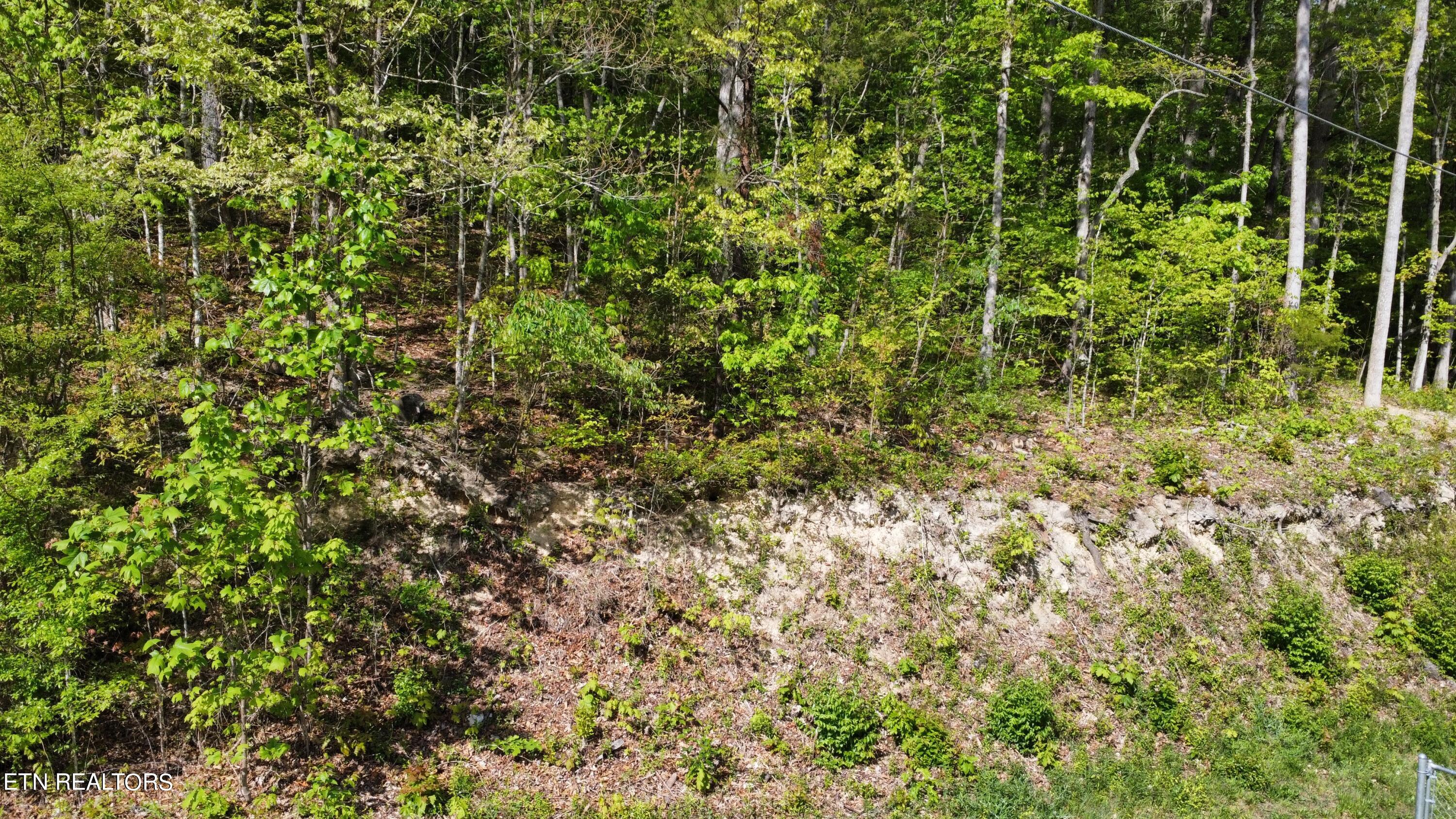 8700 Heiskell Road Powell, TN 37849 - Photo 5 of 13 dji_fly_20240424_164818_69_1713991714995