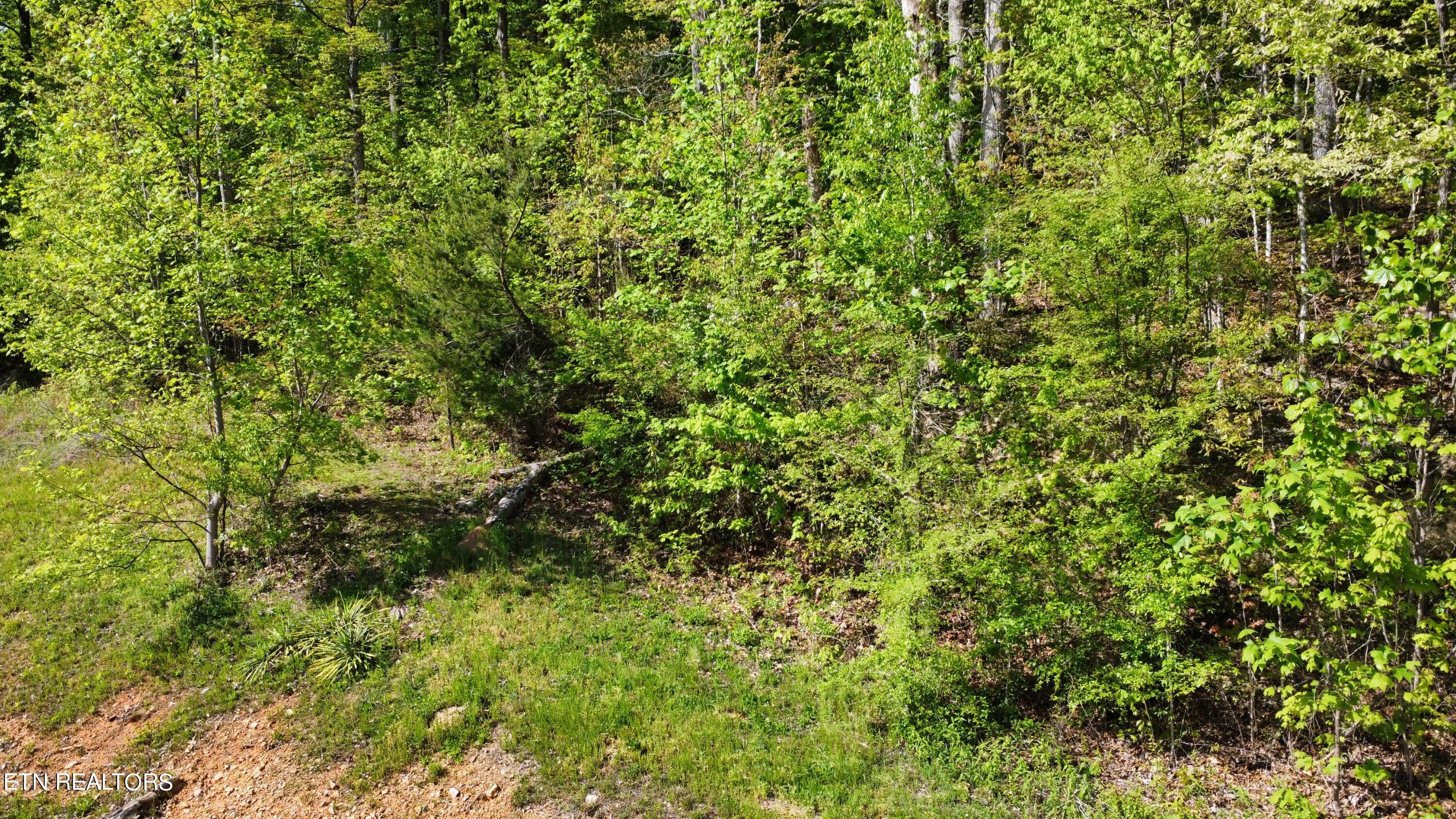 8700 Heiskell Road Powell, TN 37849 - Photo 6 of 13 dji_fly_20240424_164806_68_1713991694655