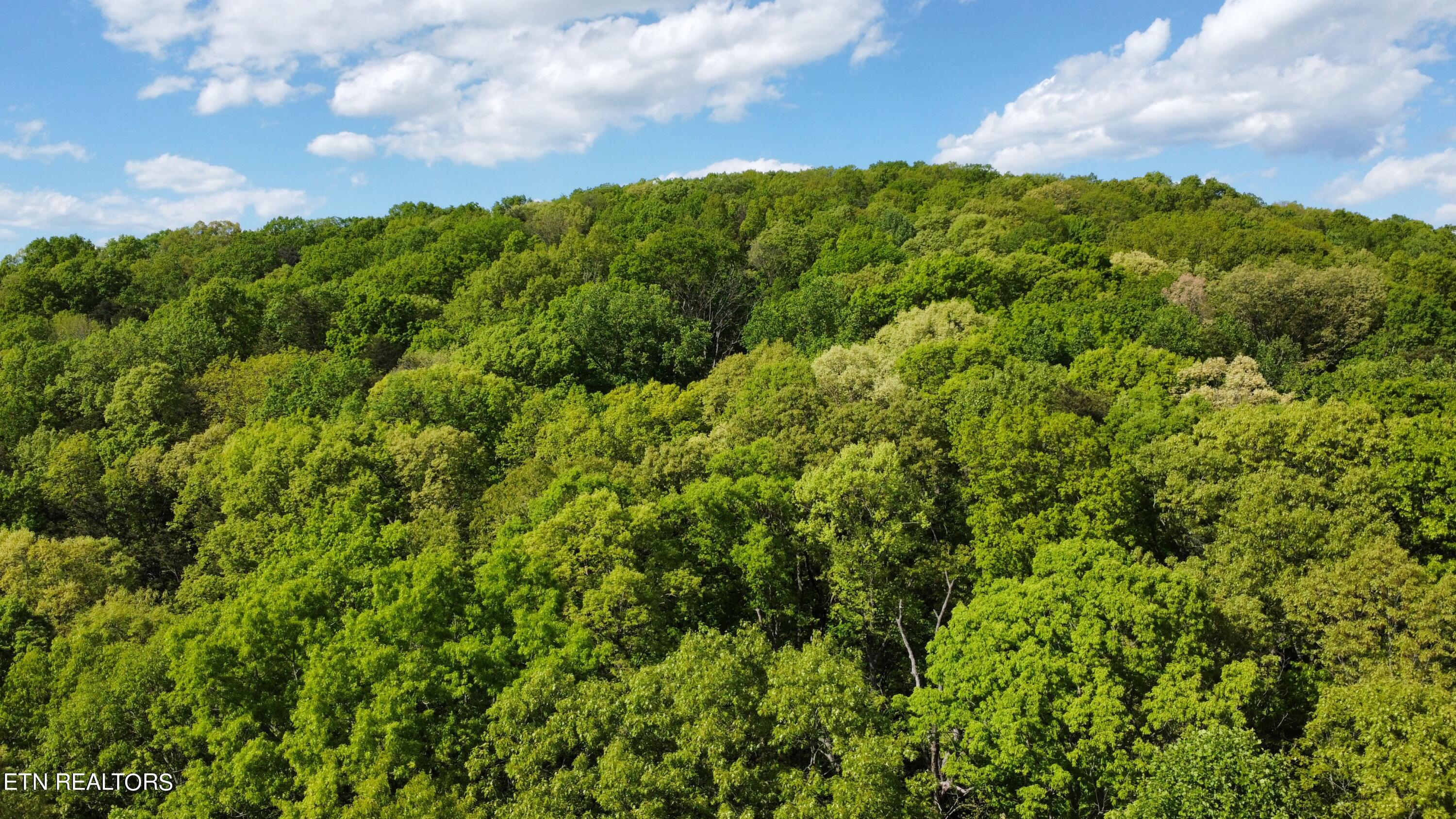 8700 Heiskell Road Powell, TN 37849 - Photo 10 of 13 dji_fly_20240424_164540_66_1713991554029