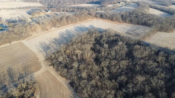 a view of a dry yard with wooden fence
