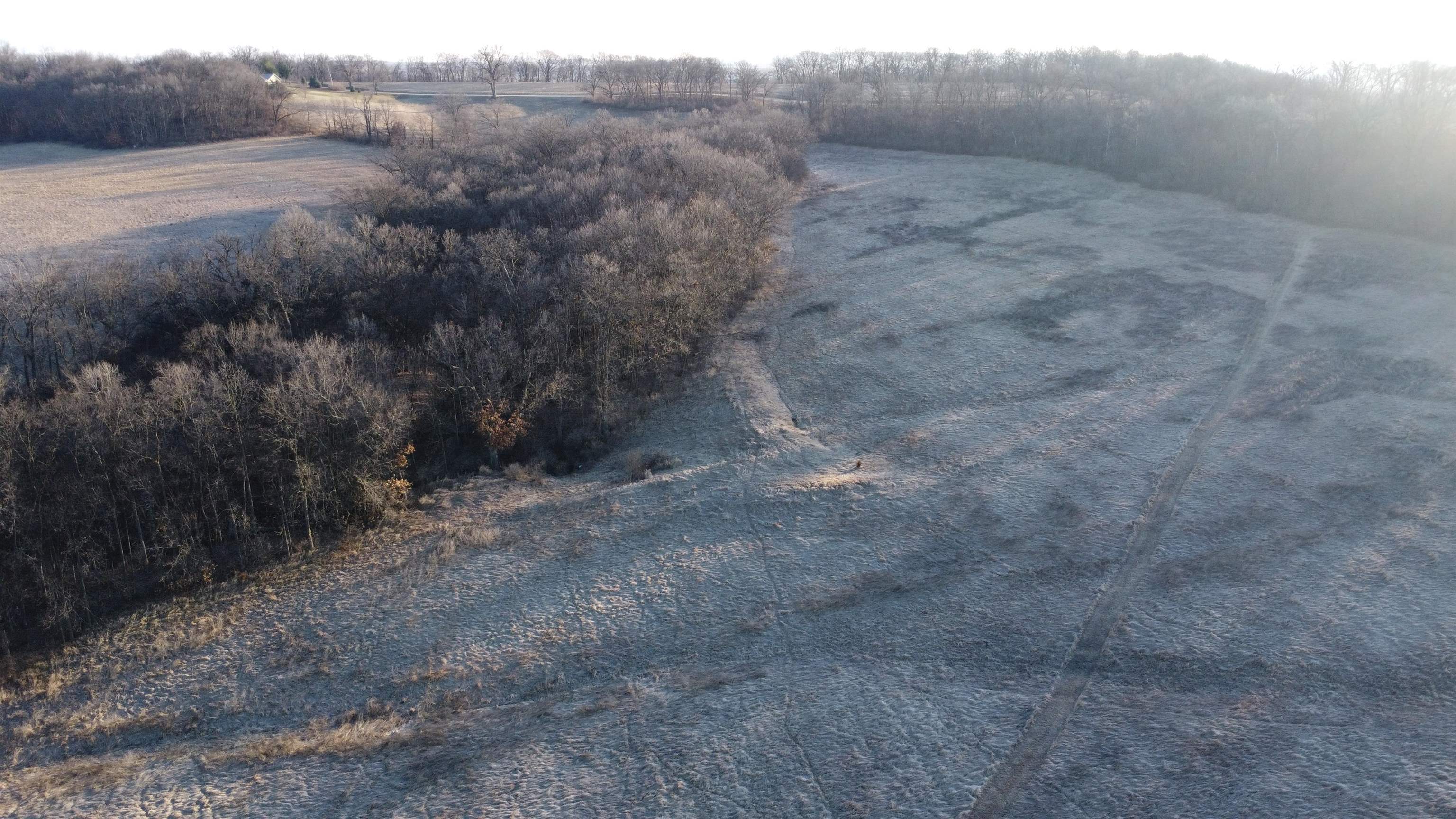 Tbd South Elmoville Road Stockton, IL 61085 - Photo 14 of 29 a view of a dry yard
