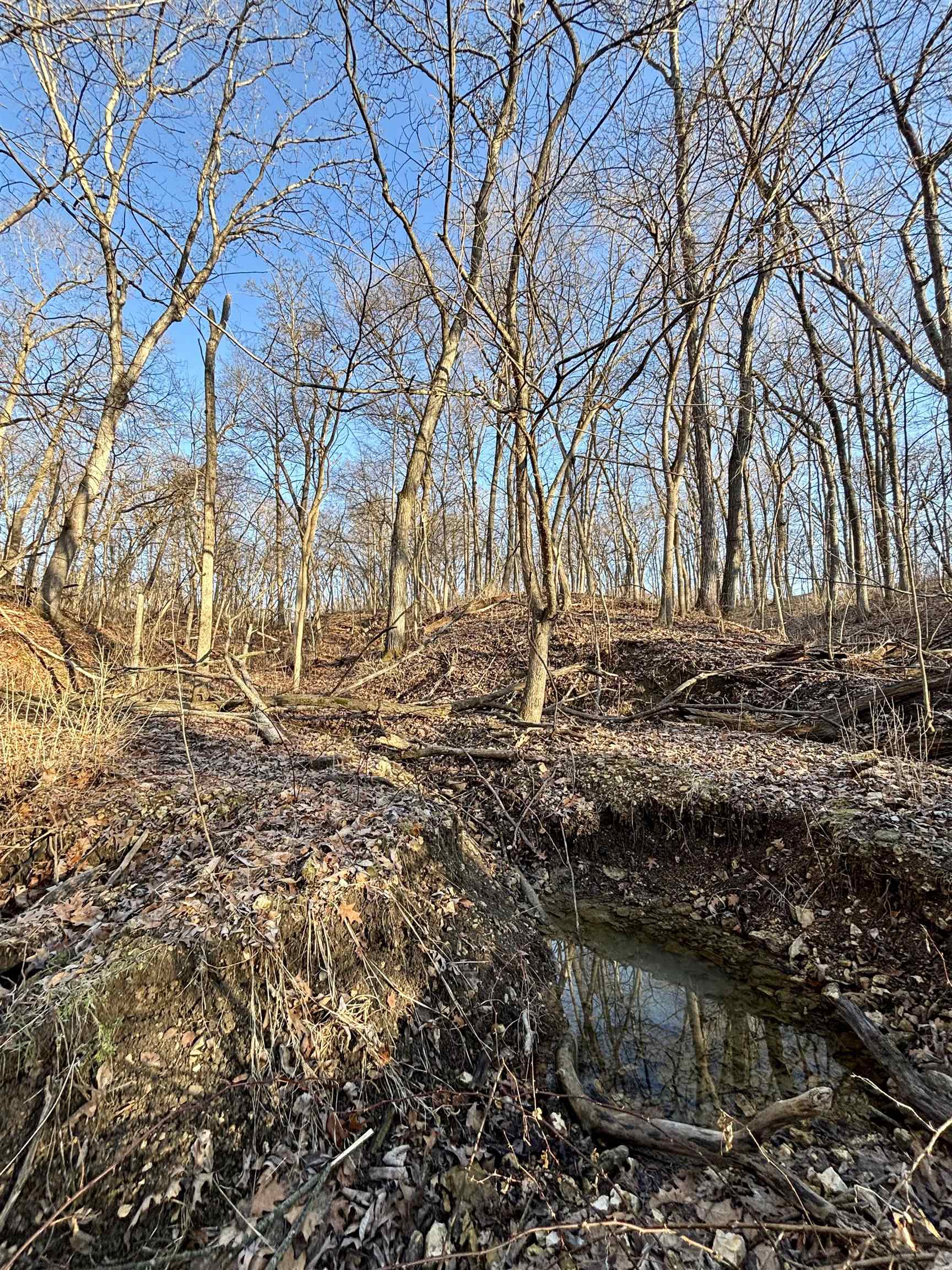 Tbd South Elmoville Road Stockton, IL 61085 - Photo 22 of 29