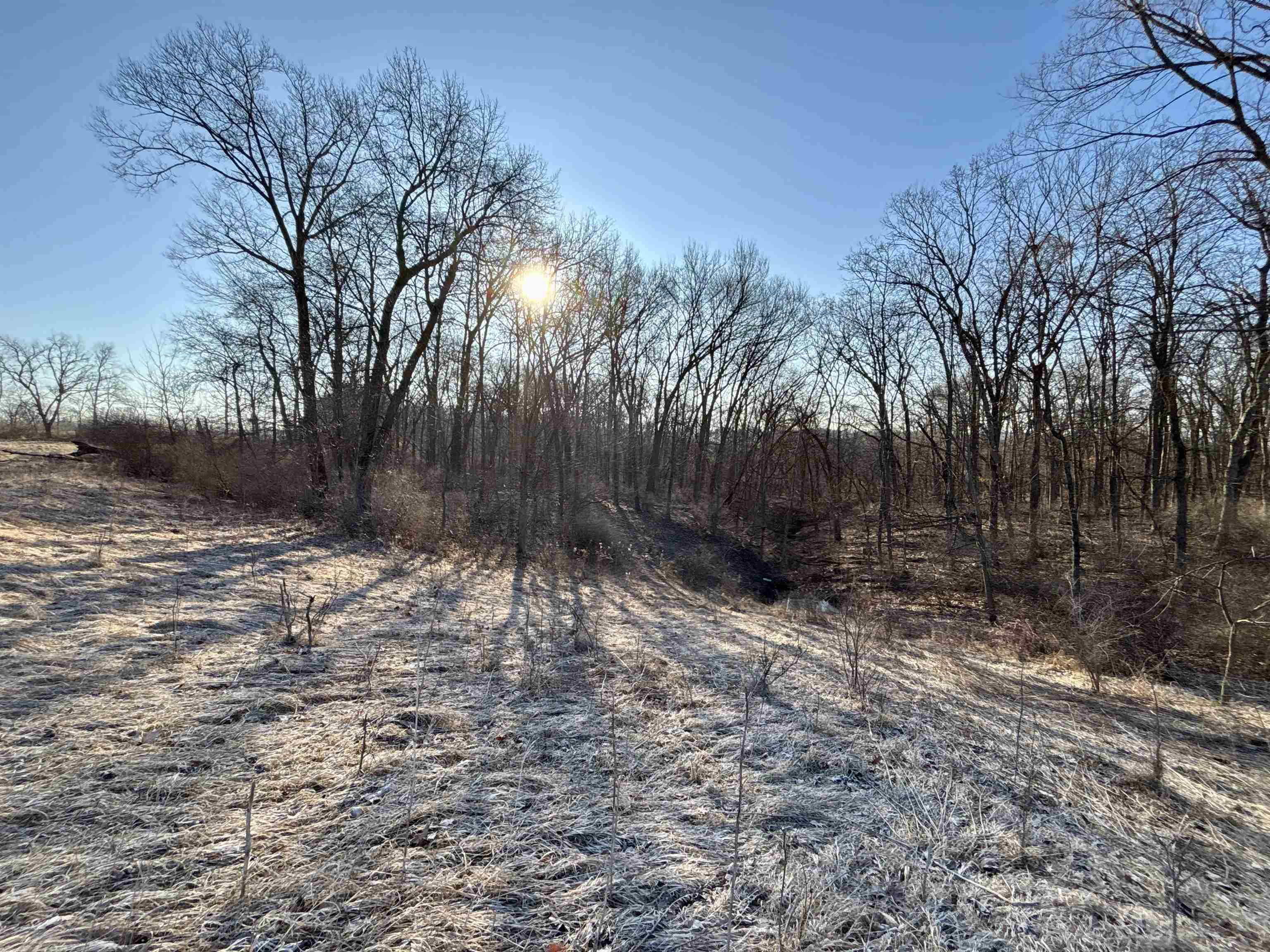 Tbd South Elmoville Road Stockton, IL 61085 - Photo 23 of 29